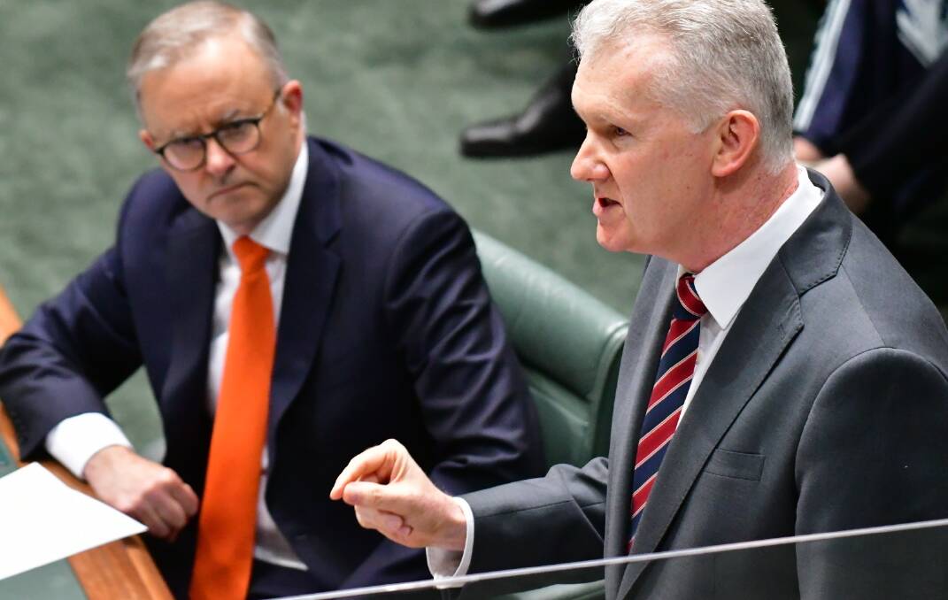 Leader of the House Tony Burke moved the motion on Wednesday morning. Picture by Elesa Kurtz