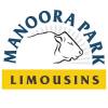 Manoora Park Limousins