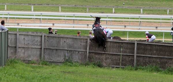 Grand Annual Steeplechase contender Bannastrand jumps over a fence at Tozer Road and into the crowd of onlookers at Warrnambool. Picture: LEANNE PICKETT