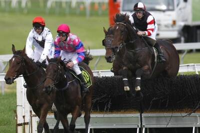 The Grand Annual Steeplechase is being held at the Warrnambool racecourse today.
