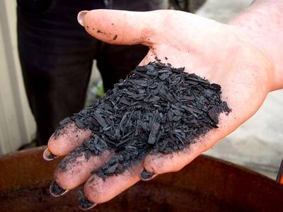 An investigation will be launched into the production of biochar.
