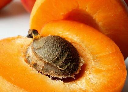 Cyanide poisoning ... apricot kernels have a dangerous level of hydrocyanic acid.