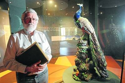 Flagstaff Hill volunteer Ron Sproston's research efforts  have been rewarded with the heritage listing of the precious porcelain peacock.