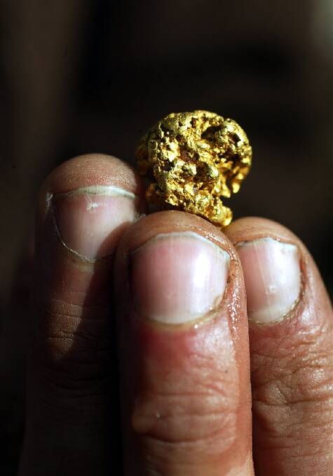 South-west farmers urged to object to gold diggers