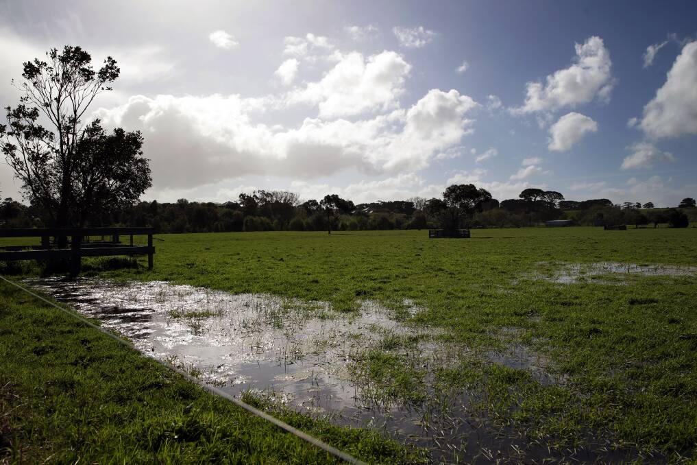 Water sits in a paddock off Woollaston Road, Warrnambool, after heavy overnight rain. 