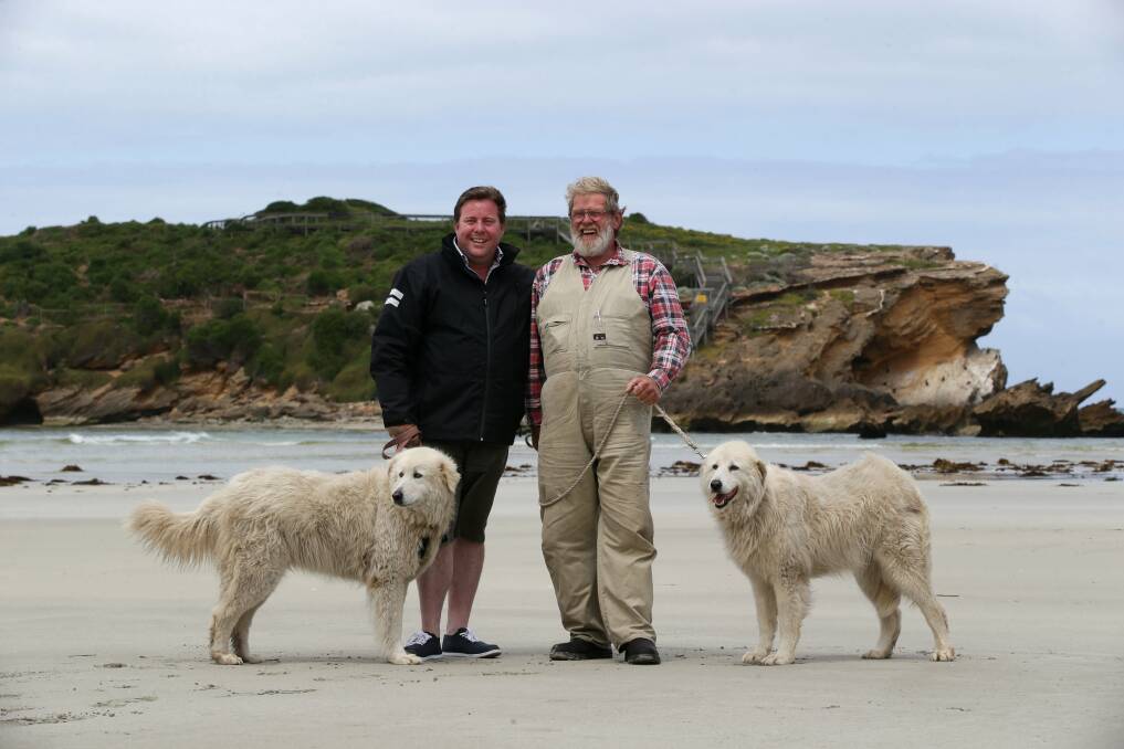 Actor Shane Jacobson and Allan 'Swampy' Marsh check out Middle Island with Maremmas Tula and Eudy for the upcoming movie. 