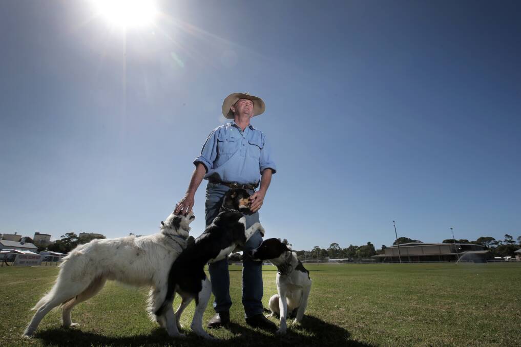 Simpson’s Maurice Burke will take Digger, Billy and Smurf to the Koroit Sheepdog Trials.