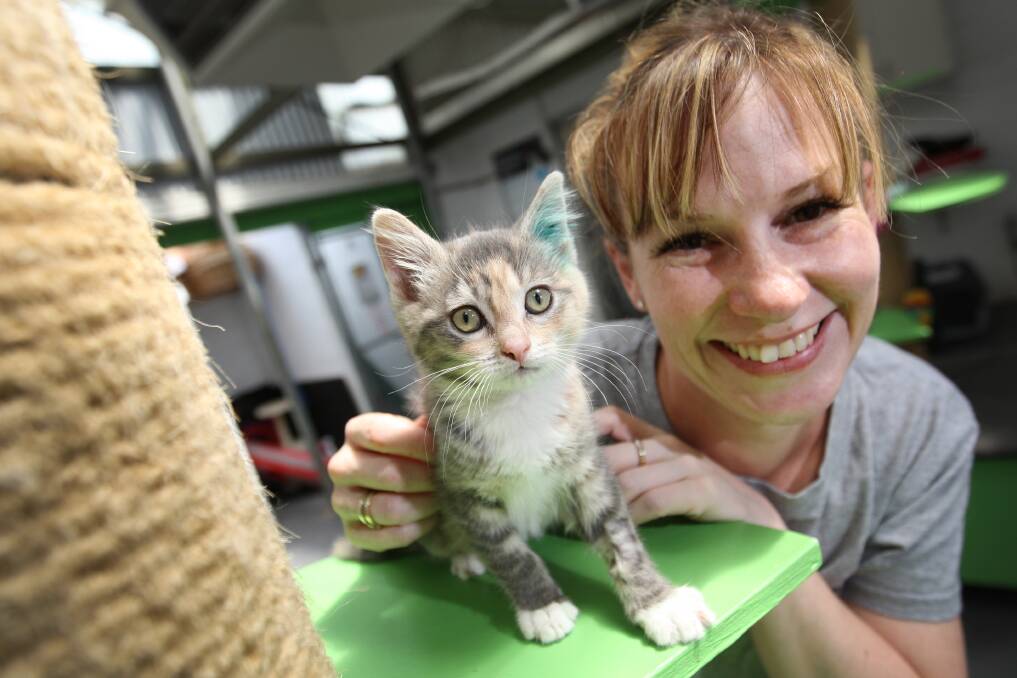 Warrnambool RSPCA shelter supervisor Tracey Scott with Noel, a short-haired female desexed kitten.