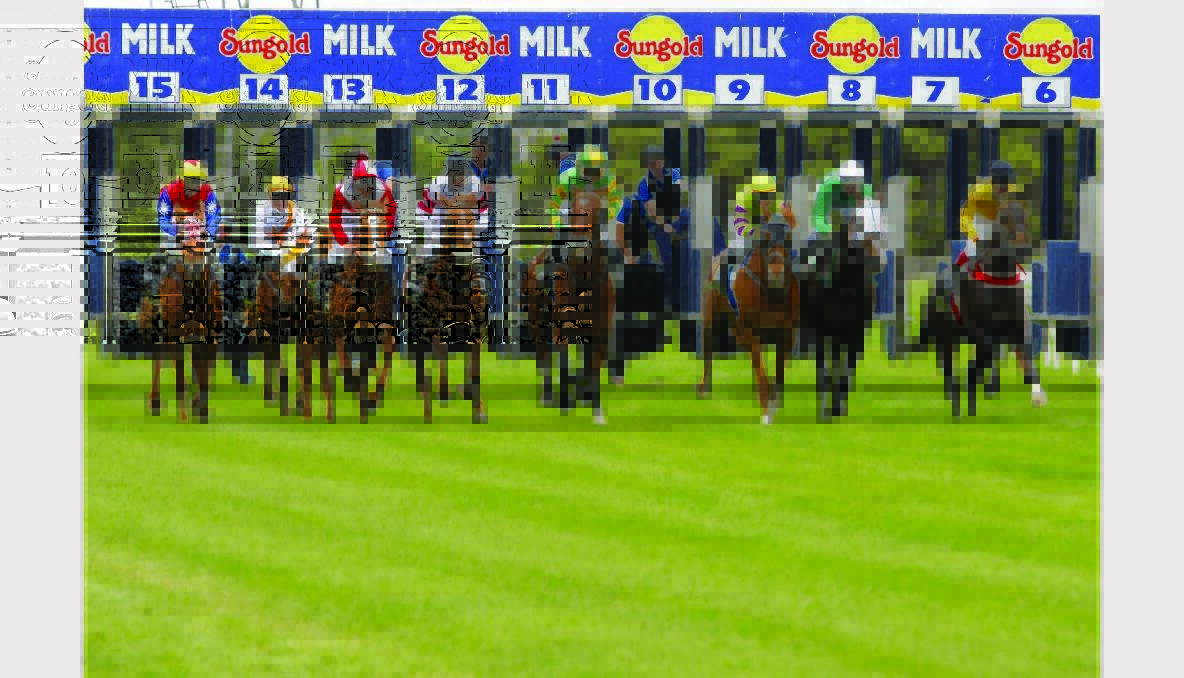 Dean Yendall on Bioko (far right) starts well with the rest of the field before claiming victory at Warrnambool yesterday. PICTURE: ROB GUNSTONE.
