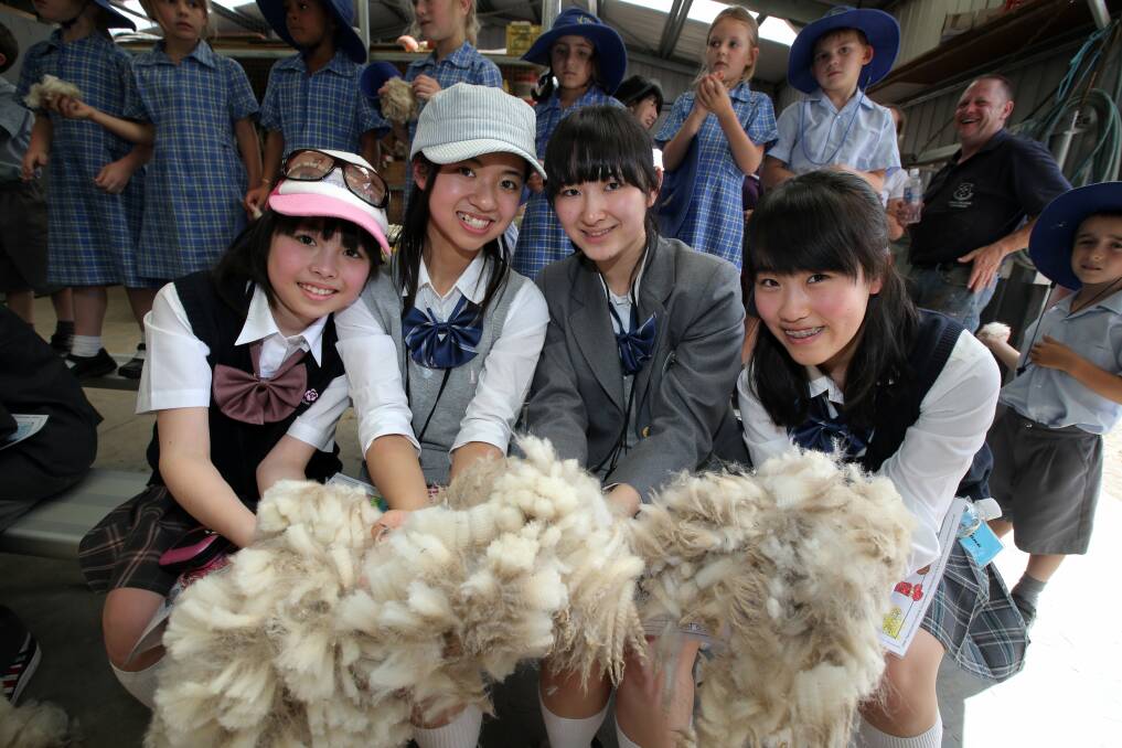 Shibuya Junior High School students (from left) Sakiko Yokata, Yuri Furukawa, Yuka Ijima and Nana Hinashima with some of the wool they helped shear off sheep at King’s College.  