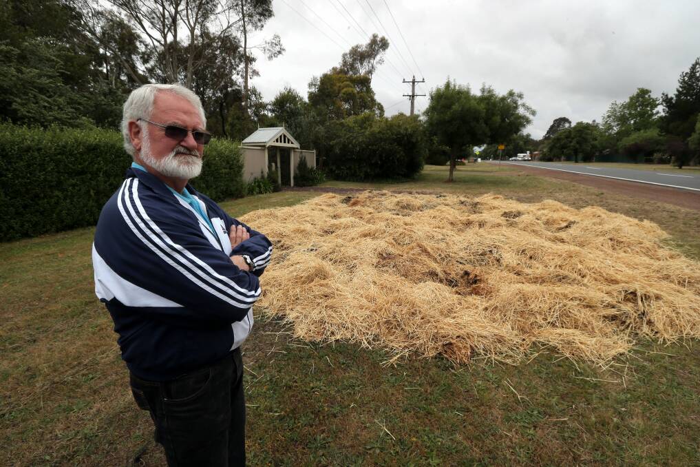 Lanternenfest committee chairman Colin Huf surveys the destroyed Gingerbread Man hay bale.