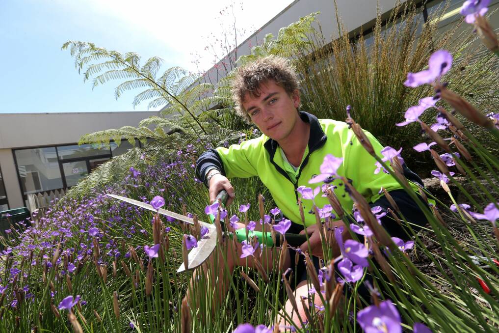 Warrnambool Deakin University apprentice groundskeeper and TAFE horticulture student Tristan Krepp has won a scholarship to go to England next year.
