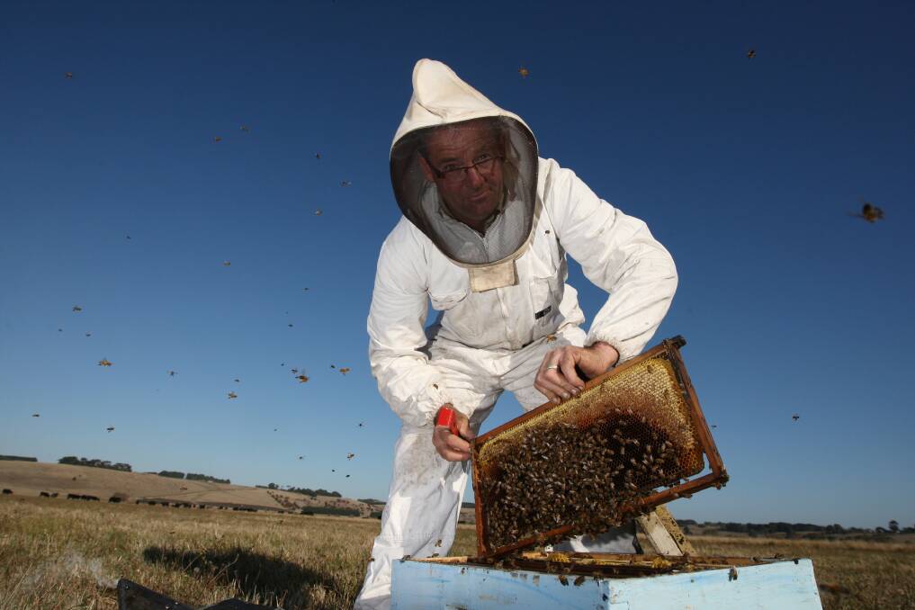 Terang beekeeper Michael Blain said abnormal weather had seen poor honey production this season. 