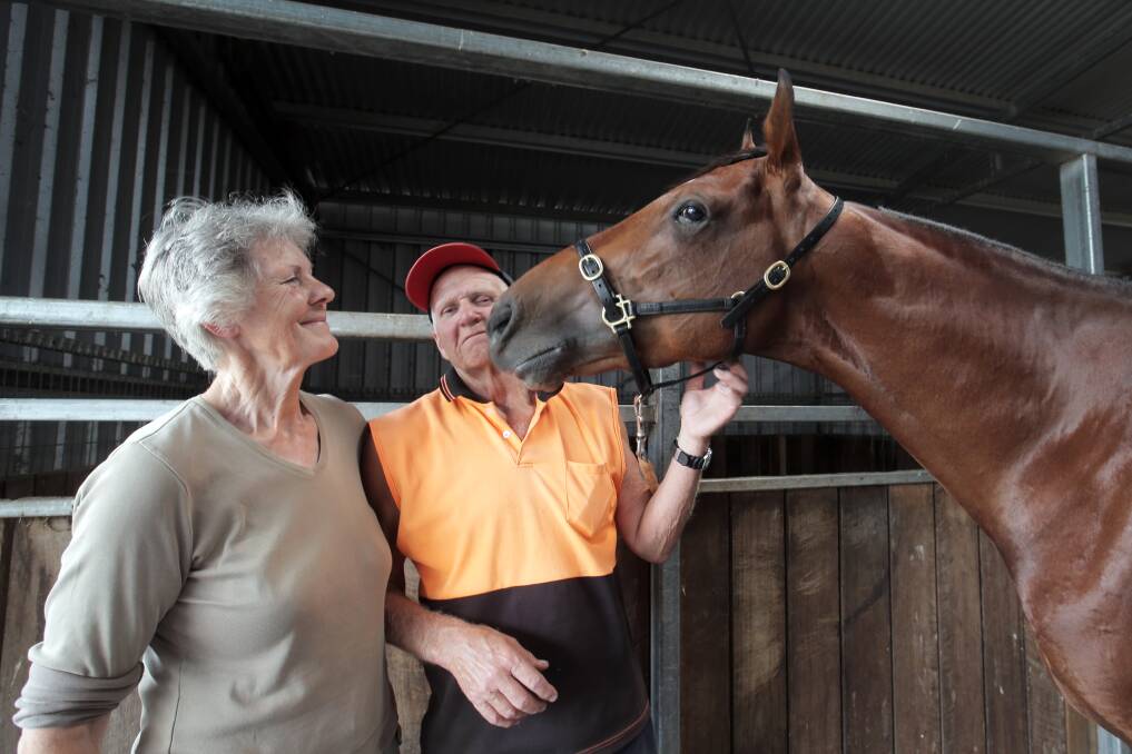 Hawkesdale trainers Christine and Graham Gee, of Hammatine Park, with Bliss Man, their starter in the Gammalite Cup.