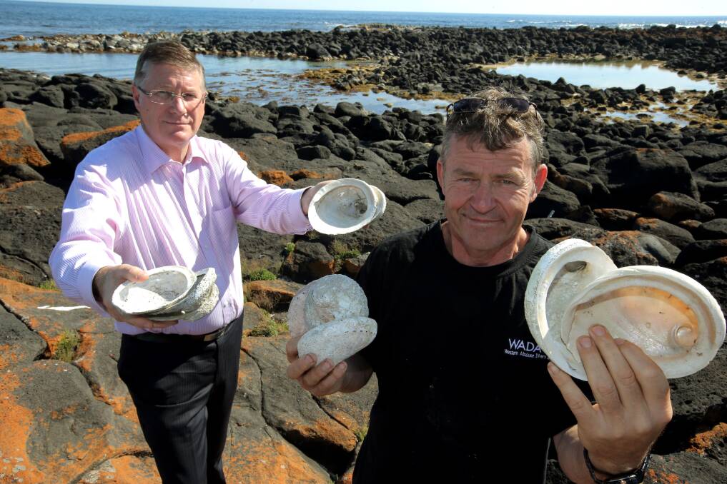 LARGE-SCALE exploitation of recreational abalone catch limits in the south-west by visiting poachers has prompted the state government to tighten regulations.