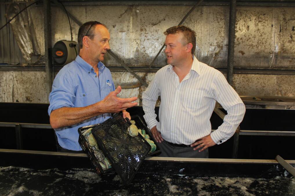 Mark Gervis (left) from Southern Ocean Mariculture shows Environment and Climate Change Minister Ryan Smith around his abalone farm. 