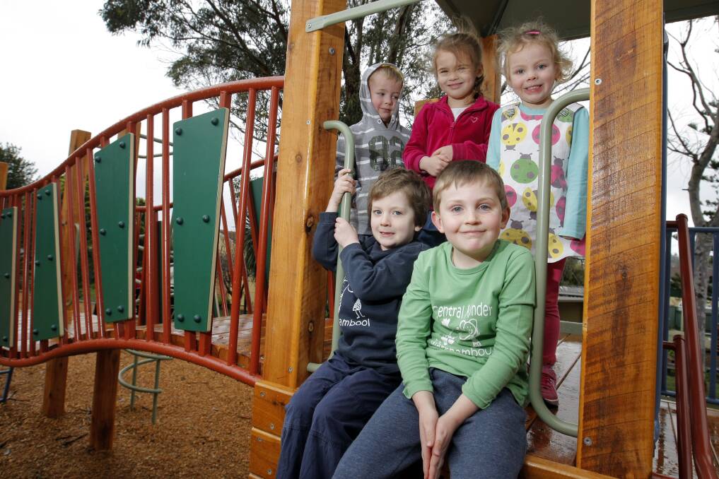 Ted Yates, 4 (back, left), Matilda Alexander, 4, and Claire Benson, 4, and (front) Lachlan Hughes, 4, and Zac O’Connor, 5, enjoy their kinder’s new play fort. 