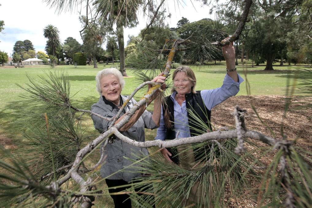 Pat Varley and Mandy King from the Friends of the Warrnambool Botanic Gardens with the Lone Pine tree. 
