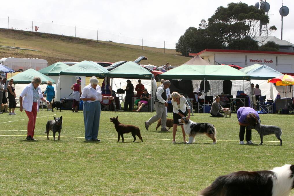 More than 400 dogs took part in Warrnambool championship shows over the weekend.