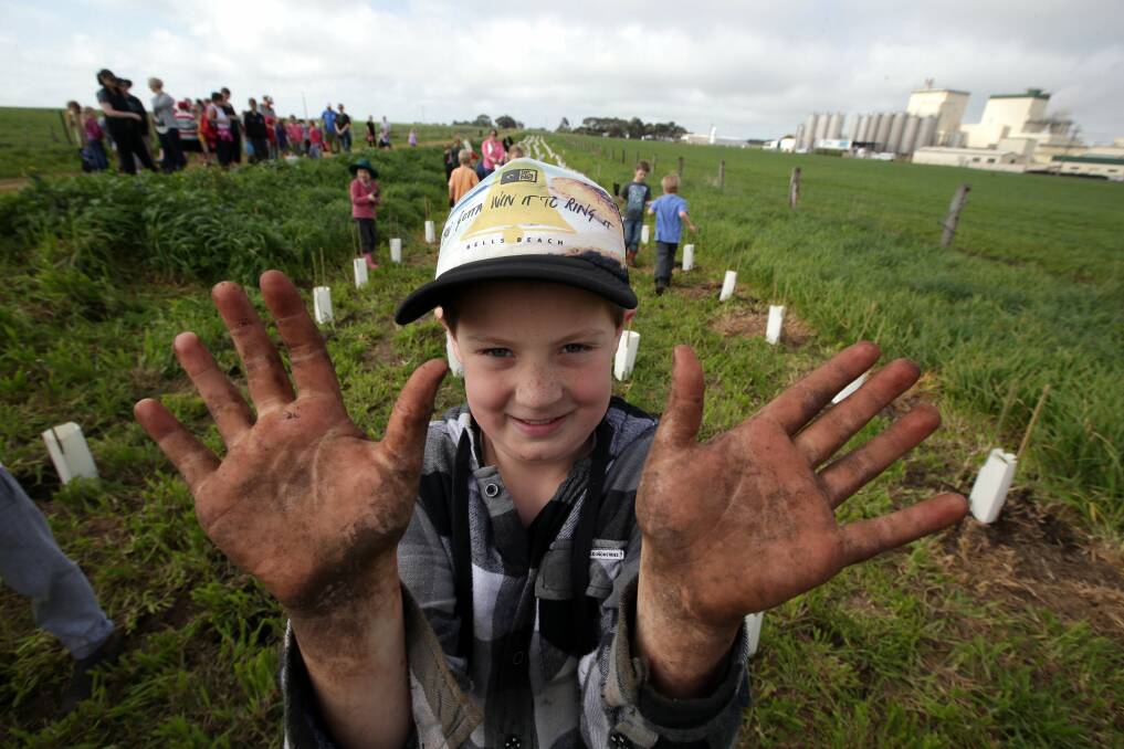 Koroit St Patricks Primary School grade three student Connor McDonald, 8, got his hands dirty planting trees along Port Fairy to Warrnambool rail trail at Koroit. Picture DAMIAN WHITE