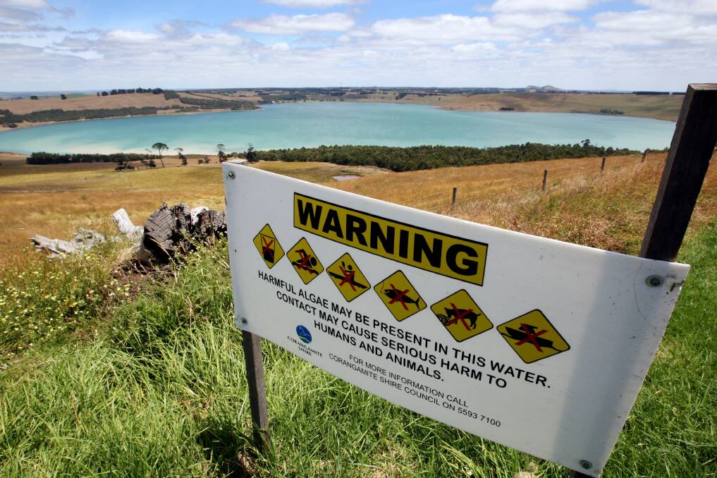 Corangamite Shire Council has advised the public avoid all contact with water at the popular summer spots, including drinking, swimming, fishing, boating, jet-skiing and the consumption of fish caught in the lake. 