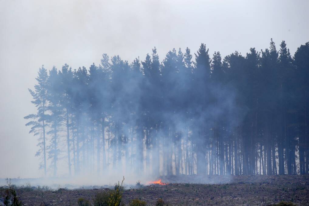 Pine plantations have been destroyed by fire at the Lower Glenelg National Park.