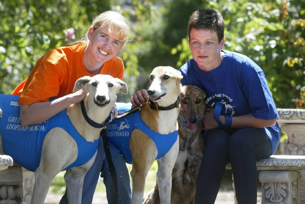 Greyhound Adoption program co-ordinator Larissa Darragh from Seymour (left) with 'Mason', and 'Belle'. And Kerri Fowler (a foster carer) from Warrnambool with 'Stan'.