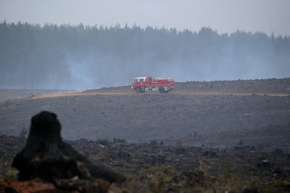 CFA members in a pine plantation in the Lower Glenelg National Park fire at Drik Drik. 